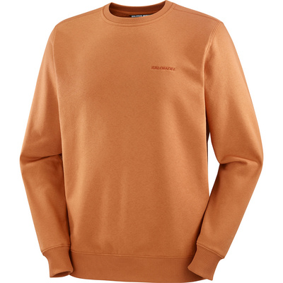 Salomon Heren Logo Crewneck Trui