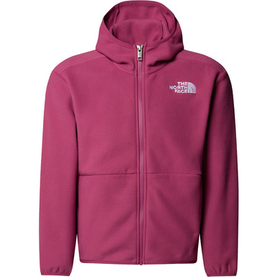 The North Face Kinderen Teen Glacier Hoodie Jas (Maat M, Paars)