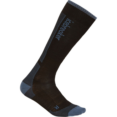 Icebreaker Dames Merino Blend Ski+ Ultralight OTC Sokken