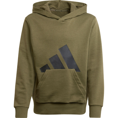 Adidas Sportswear Hoodie J BL FT HD 280