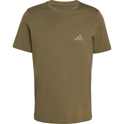Adidas Terrex Heren Graphic T-shirt