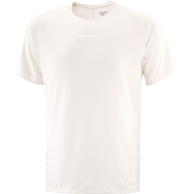 Salomon Heren Sense Aero GFX T-shirt