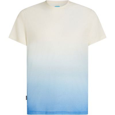 Icebreaker Heren 125 Cool-Lite Sphere Alta T-shirt