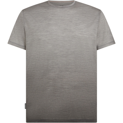 Icebreaker Heren 125 Cool-Lite Sphere Alta T-shirt