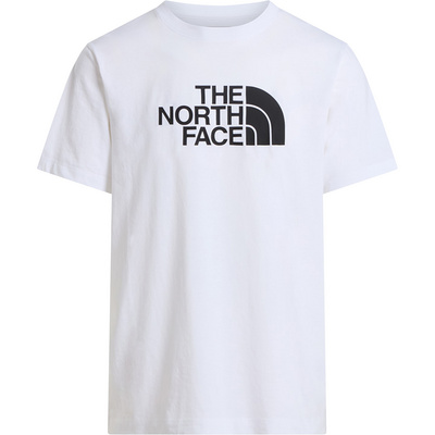 The North Face Heren Evolution Half Dome T-shirt