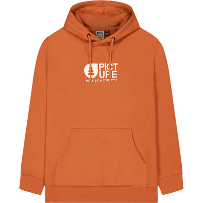 Picture Heren Basement Hoodie