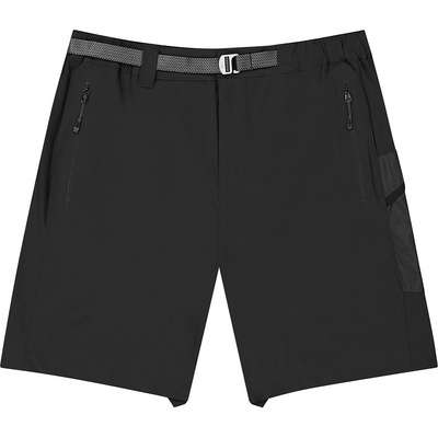 Picture Heren Shooner Stretch Korte broek