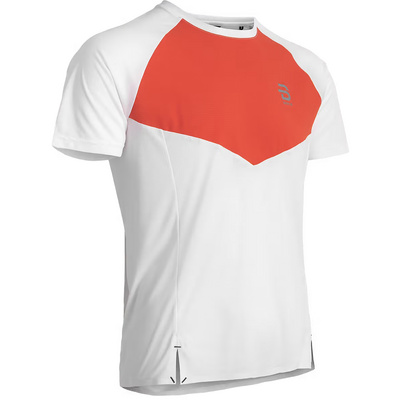 Daehlie Heren Run 365 T-shirt