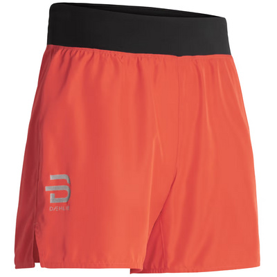 Daehlie Heren Air 5 Korte broek