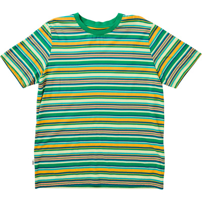 Brava Fabrics Heren Stripes T-shirt