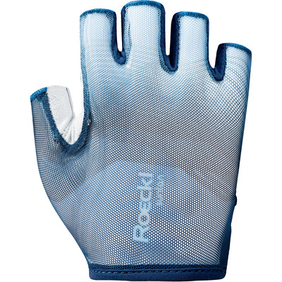 Roeckl Istia 2 Handschoenen