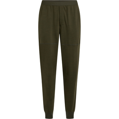 Icebreaker Heren 300 RealFleece Descender Jogger Broek