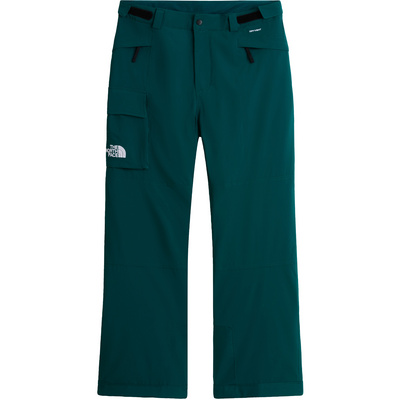 The North Face Heren Freedom Insulated Broek