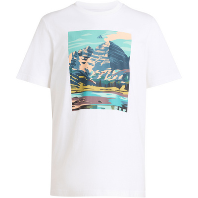 Adidas Terrex Heren Nature T-shirt