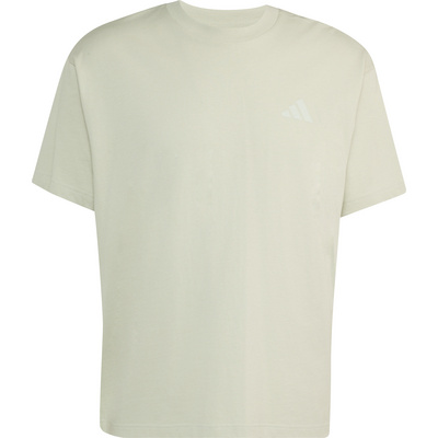 Adidas Terrex Heren Elements Graphic T-shirt