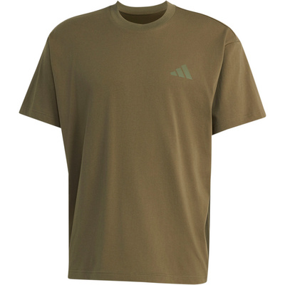 Adidas Terrex Heren Elements Graphic T-shirt