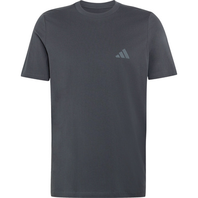 Adidas Terrex Heren Mountain Graphic T-shirt