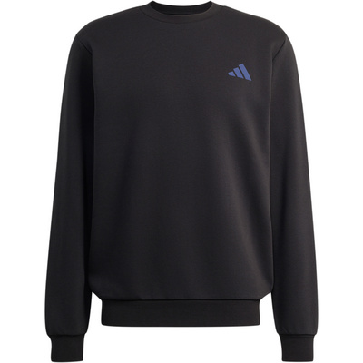 Adidas Terrex Heren Snow Sport Graphic Trui