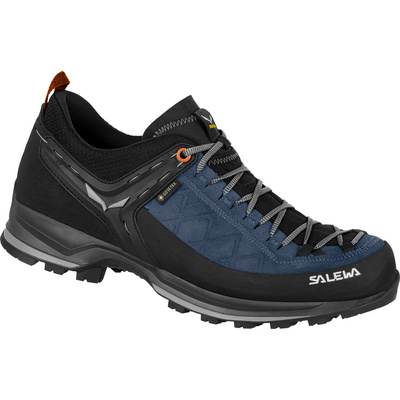 Salewa Heren MTN Trainer 2 GTX schoenen (Maat 46, Blauw)