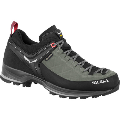 Salewa Dames MTN Trainer 2 GTX schoenen (Maat 37, Olijf)