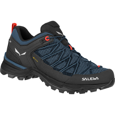 Salewa Dames MTN Trainer Lite GTX schoenen (Maat 42.5, Blauw)