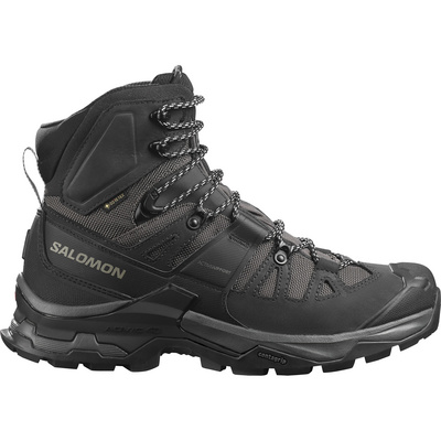 Salomon Heren Quest 4 GTX schoenen (Maat 41.5, Zwart)