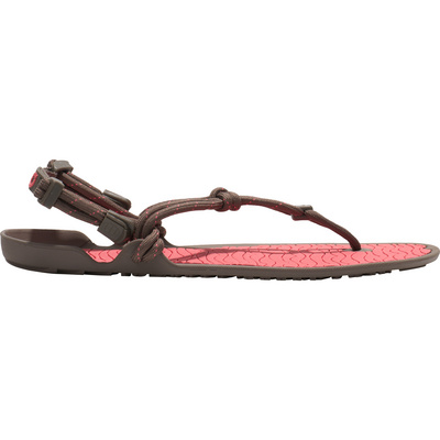 Xero Shoes Dames Aqua Cloud Sandalen (Maat 36.5, Bruin)