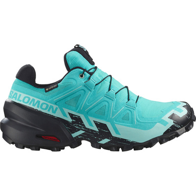 Salomon Dames Speedcross 6 GTX Schoenen (Maat 38, Blauw)