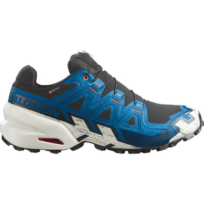 Salomon Heren Speedcross 6 GTX Schoenen
