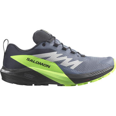 Salomon Heren Sense Ride 5 GTX Schoenen (Maat 42, Grijs)