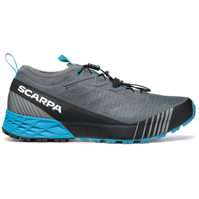 Scarpa Heren Ribelle Run GTX Schoenen (Maat 42, Grijs)