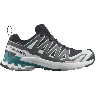 Salomon Dames Xa Pro 3D V9 GTX Schoenen (Maat 42, Wit)