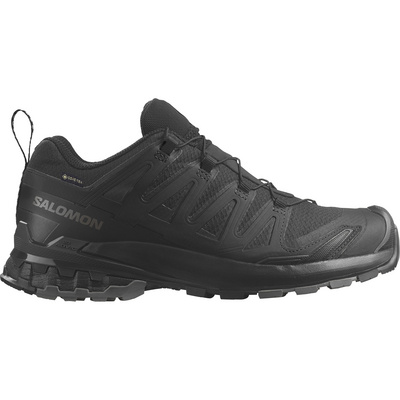 Salomon Dames Xa Pro 3D V9 GTX Schoenen (Maat 42, Zwart)
