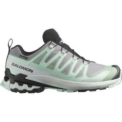 Salomon Dames Xa Pro 3D V9 GTX Schoenen