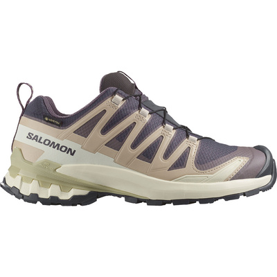 Salomon Dames Xa Pro 3D V9 GTX Schoenen
