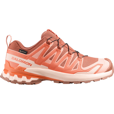 Salomon Dames Xa Pro 3D V9 GTX Schoenen