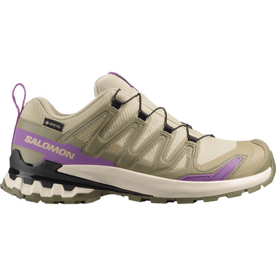 Salomon Dames Xa Pro 3D V9 GTX Schoenen