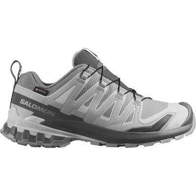 Salomon Dames Xa Pro 3D V9 GTX Schoenen