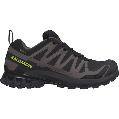 Salomon Heren Xa Pro 3D V9 GTX Schoenen