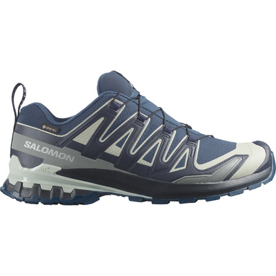 Salomon Heren Xa Pro 3D V9 GTX Schoenen