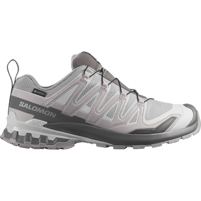 Salomon Heren Xa Pro 3D V9 GTX Schoenen