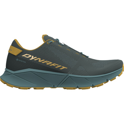 Dynafit Heren Ultra 100 GTX Schoenen (Maat 42.5, Blauw)