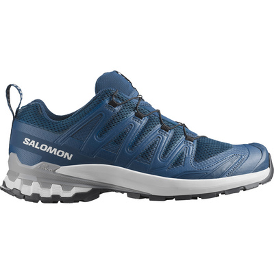 Salomon Heren XA Pro 3D V9 Schoenen