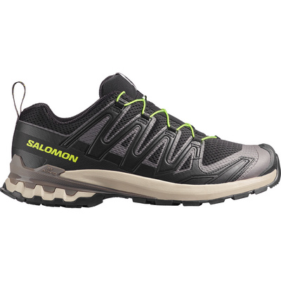 Salomon Heren XA Pro 3D V9 Schoenen