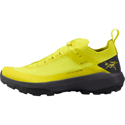 Arcteryx Heren Vertex Alpine GTX Schoenen