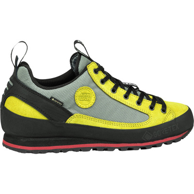 Hanwag Heren Rotpunkt Low GTX Schoenen (Maat 43, Geel)