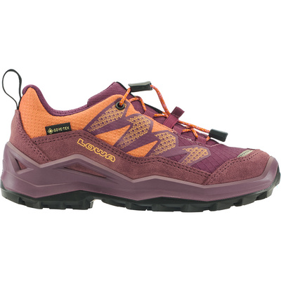 Lowa Kinderen Maddox Pro GTX Low Schoenen