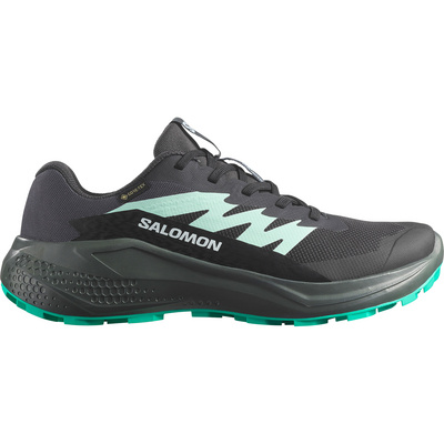 Salomon Dames Alphaglide GTX Schoenen