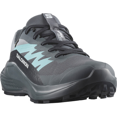Salomon Dames Alphaglide GTX Schoenen