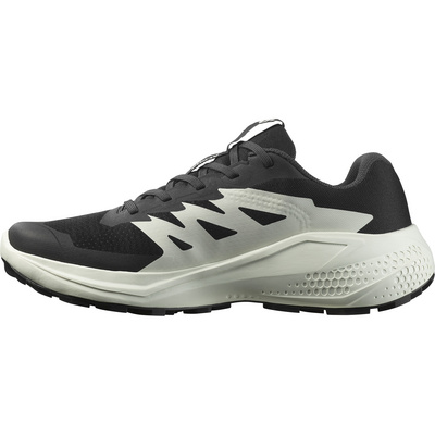 Salomon Dames Alphaglide Schoenen
